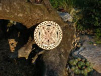 /album/fotogalerie-slunicka-a-obrazky/dscn2770-jpg/