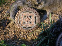 /album/fotogalerie-slunicka-a-obrazky/dscn2772-jpg/