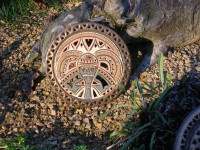 /album/fotogalerie-slunicka-a-obrazky/dscn2773-jpg/