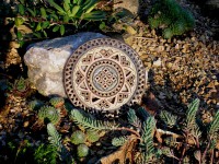 /album/fotogalerie-slunicka-a-obrazky/dscn2774-jpg/