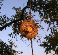 /album/fotogalerie-slunicka-a-obrazky/dscn2783-jpg/